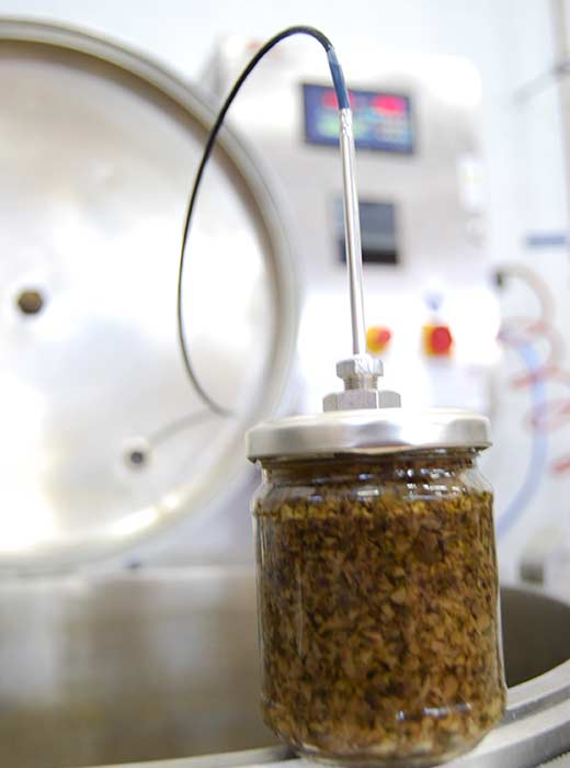 Sonda-Autoclave