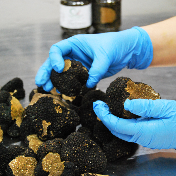 Lavorazione-tartufi in cuore verde natura cernita